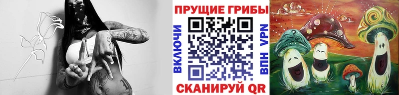 гидра как войти  Учалы  Псилоцибиновые грибы MAGIC MUSHROOMS 